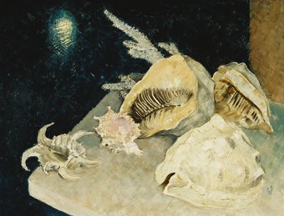 Shells by Glyn Warren Philpot