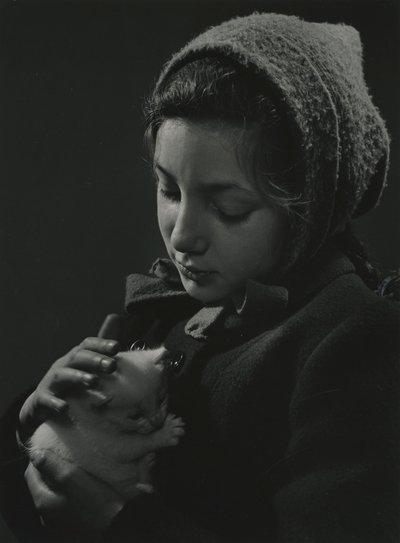 Girl holding a white kitten in her arms by Godfrey Macdominic