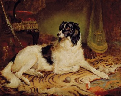 Minna, a favourite dog of James, Marquess of Dalhousie by Gourlay Steel