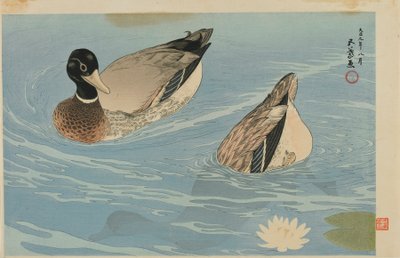 Ducks, Taisho era, August 1920 by Goyo Hashiguchi