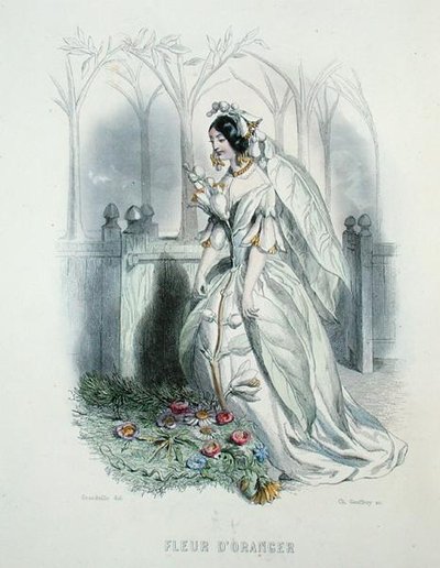 The Orange Blossom, from 