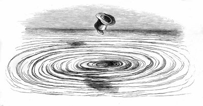 Illustration for the Novel 