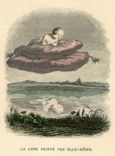 Illustration for the Novel 