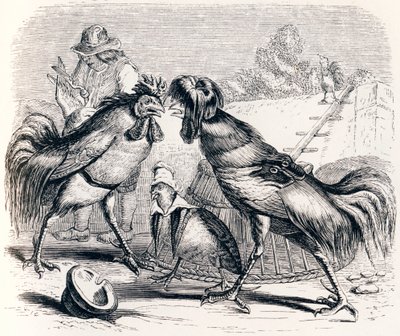 The Partridge and the Two Roosters - Fables by La Fontaine by Grandville