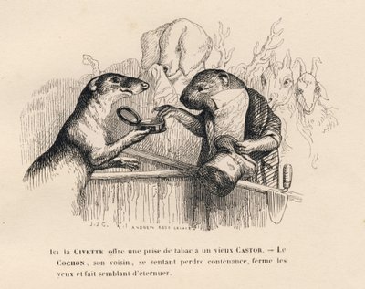 A Civet Offering a Pinch of Snuff to an Old Beaver, the Pig Behind Him Trying to Contain Himself. Illustrated Vignettes by JJ Granville. Engraving Signed by Andrew, Best, and Leloir in the Prologue Titled 