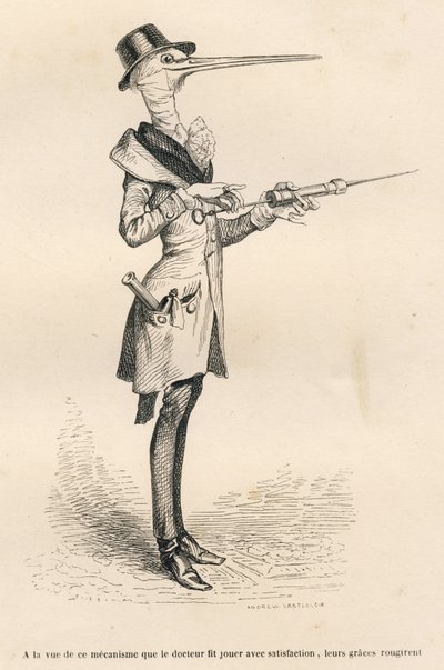 Stork as a Doctor Manipulating a Clyster by Grandville