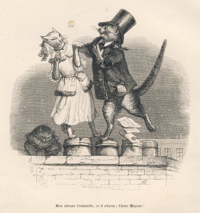 Two Cats Seducing Each Other on a Roof. Illustrated vignettes by JJ Granville. Engraving signed Andrew, Best and Leloir in the section titled 