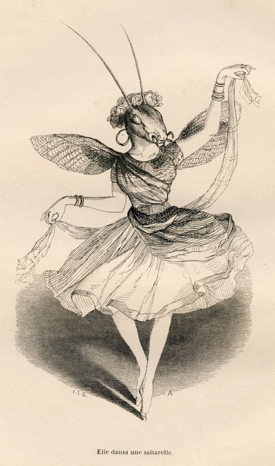 She Danced a Saltarello. Illustrated Vignettes by JJ Granville. Engraving Signed Andrew, Best and Leloir in the Section 