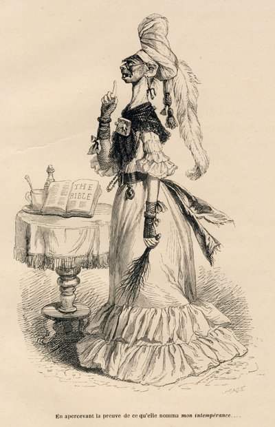 Upon Seeing the Proof of What She Called My Intemperance by Grandville
