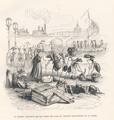 Ants in Full Activity on the Banks of the Seine. Illustrated Vignettes by JJ Granville. Engraving Signed Porret in the Section 