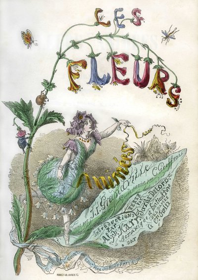 Frontispiece of the Book 
