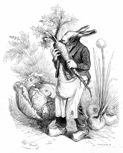 Grandville engraving, from the book “Private and public life of animals (Les animaux peints par eux-mêmes)”, Hetzel edition 1867. Rabbit gardener in hooves crunching a carrot in his vegetable garden where vegetables (onions and cabbage) grow. by Grandville (1803 47)