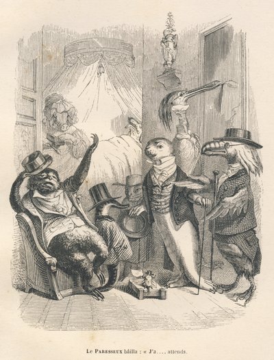 The sloth yawned as he waited. Illustrated vignettes by JJ Granville. Engraving signed Godard in the section titled "The Animal Doctors" written by Pierre Bernard in "Scenes from the Private and Public Life of Animals". Paris, J. Hetzel and Paulin by Grandville