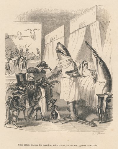 Shark Doctors Explaining Their Surgical Intervention. Illustrated Vignettes by JJ Granville. Engraving signed Godard in the section 