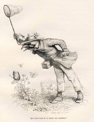 Bird Hunting Butterflies. Illustrated Vignettes by JJ Granville. Engraving signed Andrew, Best and Leloir in the section 