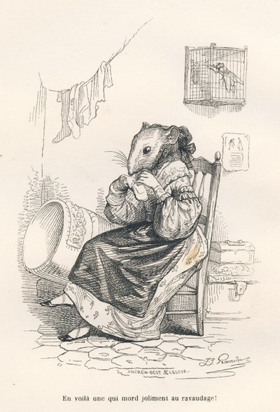 Mouse Mending a Sock. Illustrated Vignettes by JJ Granville. Engraving signed Andrew, Best and Leloir in the section 
