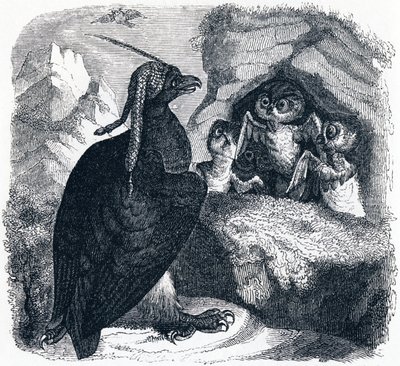 The Eagle and the Owl, illustration from 