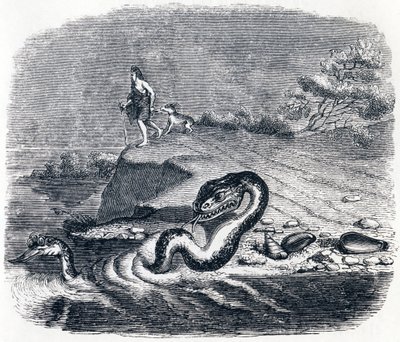 The Head and Tail of the Snake - Fables by La Fontaine by Grandville
