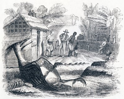 The Bird Hurt by an Arrow - Fables by La Fontaine by Grandville