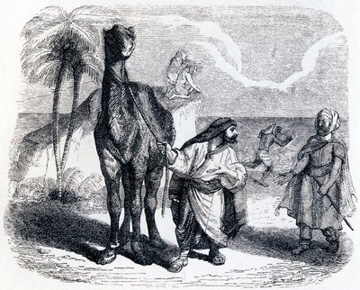 The Camel and the Floating Sticks - Fables by La Fontaine by Grandville