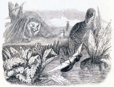 The Dove and the Ant - Fables by La Fontaine by Grandville