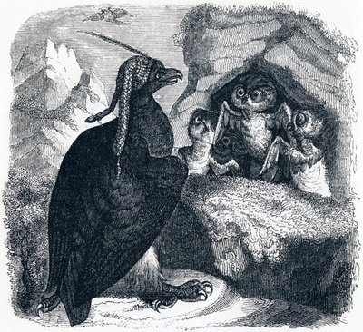 The eagle and the owl - Fables by La Fontaine by Grandville