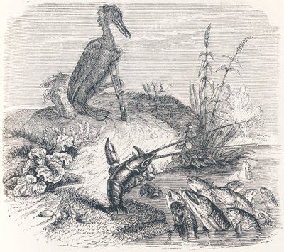 The fishes and the cormorant - Fables by La Fontaine by Grandville