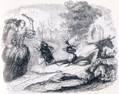 The Fly and the Ant - Fables by La Fontaine by Grandville