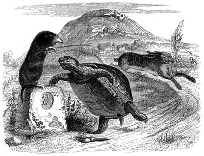The hare and the turtle: La Fontaine fable illustrated by Grandville by Grandville (1803 47)
