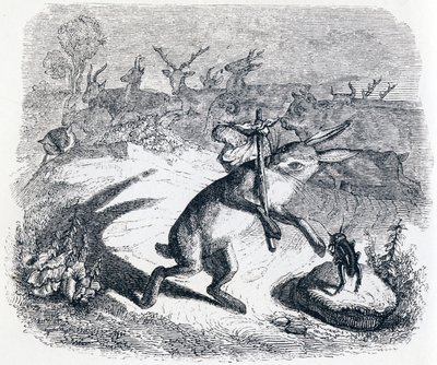 The Hare