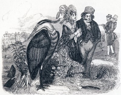 The Heron - Fables by La Fontaine by Grandville