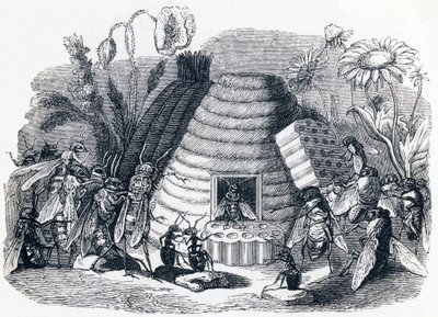 The Hornets and the Honey Flies - Fables by La Fontaine by Grandville