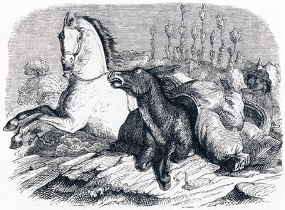 The Horse and the Donkey - Fables by La Fontaine by Grandville