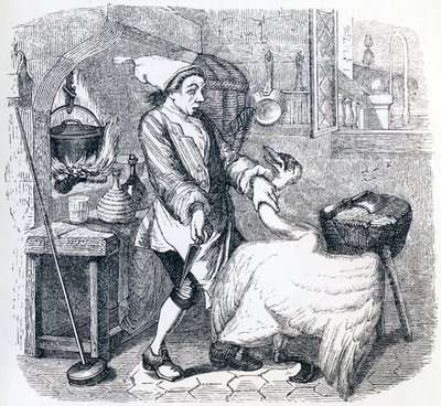 The Swan and the Cook - Fables by La Fontaine by Grandville