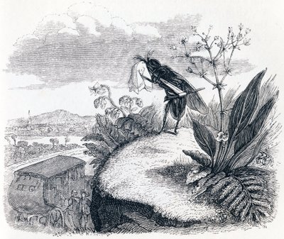 The Tick and the Fly - Fables by La Fontaine by Grandville