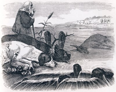 The Two Dogs and the Dead Donkey - Fables by La Fontaine by Grandville