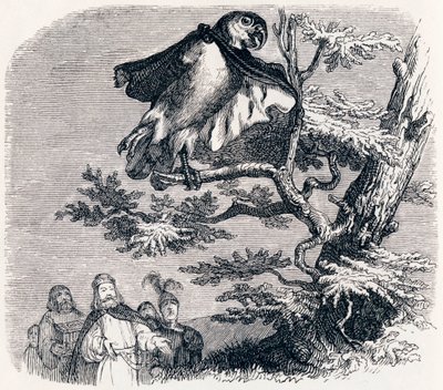 The Two Parrots, the King and His Son - Fables by La Fontaine by Grandville