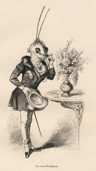 An Old Butterfly Looking at the Time with His Glasses. Illustrated Vignettes by JJ Granville. Engraving Signed Breviere in the Section 