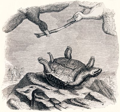 The Turtle and the Two Ducks - Fables by La Fontaine by Grandville