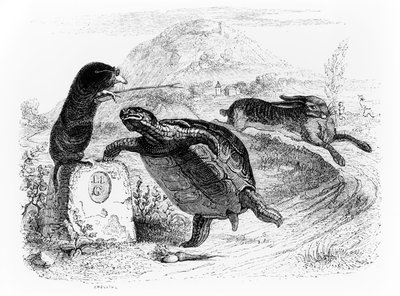 The Hare and the Tortoise, Illustration for 
