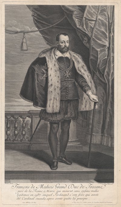 Portrait of Francesco I de
