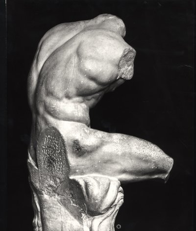 Belvedere torso by Greco Roman Greco Roman