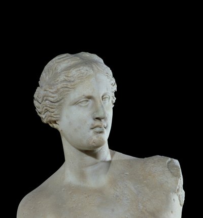 Head of the Venus de Milo (detail) by Greek