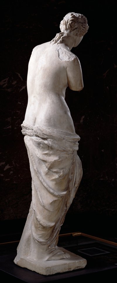 Rear View of Aphrodite, the 