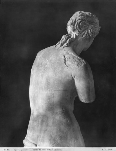 Venus de Milo (back view) by Greek
