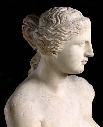 Venus de Milo (detail) by Greek
