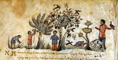 Hunting with Falcons to Capture Birds by Greek School