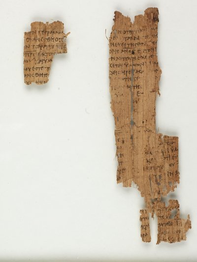 Papyrus 22 from the Gospel of John by Greek School