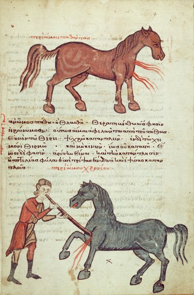 Operating on a Horse by Greek School
