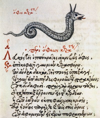Treatise on Basilisk from De animalium natura et proprietate libellus by Greek School